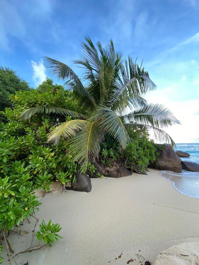 Moulin Kann Villas タカマカ エクステリア 写真